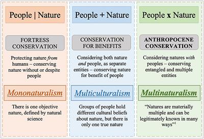 Jaguars in the borderlands: Multinatural conservation for coexistence in the Anthropocene